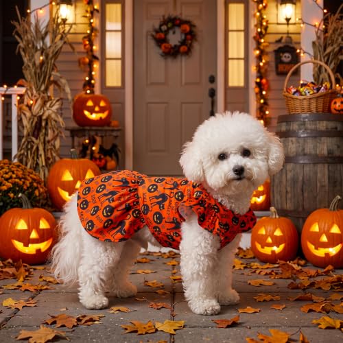 Image of CuteBone Frilly Dog Dress Princess Puppy Halloween Dresses with Ruffled Sleeves Cat Clothes Outfit for Small Dogs Girl Pet Apparel FX23XXS
