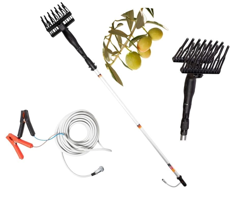 maryse Abbacchiatore Elettrico per Olive 12V - Scuotitore Telescopico 400W - 1000 Battiti/Minuto - Asta Allungabile da 2.1 a 3.1 Metri - L'Attrezzo Professionale per la Raccolta Olive