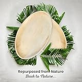ECO Leaf 25 Disposable Palm Leaf Plates | 10”(24cm) Deep Round Bamboo Plates, Compostable Dinner Plates | Eco-Friendly Disposable Plates for Hot Food,Biodegradable Strong Plate |Microwave & Oven Safe - Image 5
