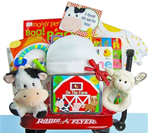 baby einstein gift basket