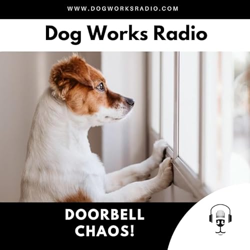 Stop Doorbell Barking: Training Your Dog to Stay Calm When Guests Arrive