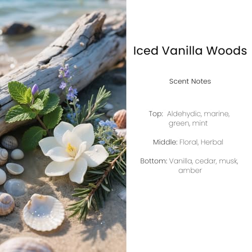 Image of Hanging Car Air Freshener, Long Lasting Essential Oil Diffuser, Non-Toxic Iced Vanilla Woods Scent, Cute Car Fresheners for Women, 2 Pack Made in USA