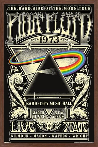Trends International Pink Floyd - The Dark Side Of The Moon Tour 1973 Wall Poster, 22.4L x 14.7W, Mahogany Framed Version