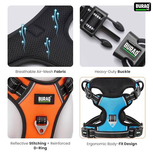 Image of Buraq Pets No Pull Dog Harness | Soft Padded for Small to Large Dogs