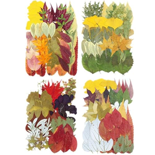 Kit 50 hojas y flores secas prensadas para manualidades miniatura 5
