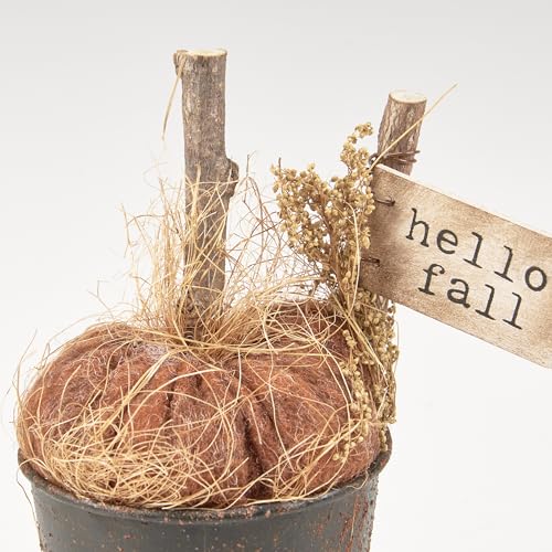 Primitives-by-Kathy-Pumpkin-in-Bucket-Sitter Primitives by Kathy Pumpkin in Bucket Sitter