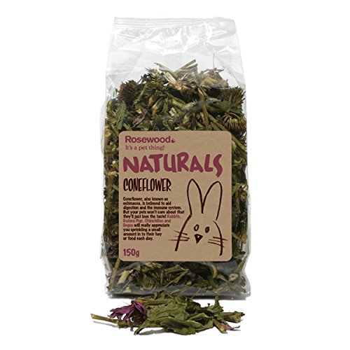 (Boredom Breakers) Naturals Coneflower (150g)