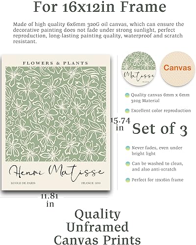 HesenDot Unframed Matisse Sage Green Wall Art Poster,Plants Botanical Canvas Wall Decor,30x40CM Poster Prints,Minimalist Classic Home Decor for Living Room Bedroom Bathroom Office,Set of 3 - Image 2