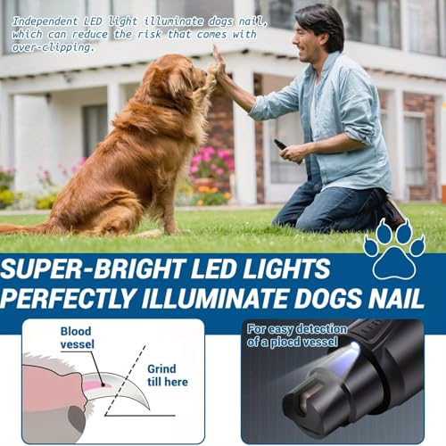 Image of Professional Dog Nail Grinder with LED Light, 2-Speed Electric Pet Nail Trimmer, Low Noise Rechargeable Nail Clipper for Small, Medium & Large Dogs and Cats (Pet Nail Grinder)
