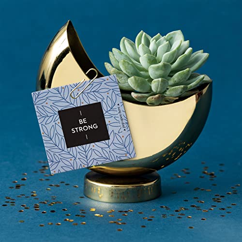 Compendium Thoughtfulls Pop-Open Cards — Be Strong — 30 Pop-Open Cards, Each With A Different Inspiring Message Inside #TOP6