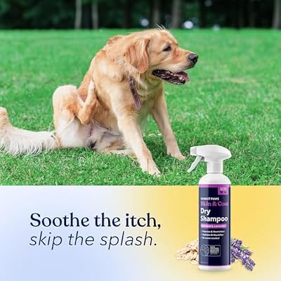 Honest Paws Dog Dry Shampoo - Waterless No Rinse Spray Formula Reducing Itch Cleanse Hydrate Nourish Dry Skin and Smelly Coat Help Decrease Odor Shedding and Allergies - Oatmeal & Lavender - 16 oz