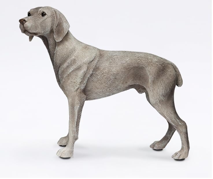 WLNTDOLA JJM German Weimaraner Dog Model Pet Animal Figure Collector Home Decoration Gift for Adult