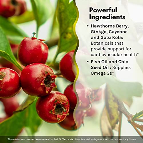 Irwin Naturals Coq10-Plus Optimum Heart Health Support Supplement - Powerful Antioxidant & Energy Boost - Enhanced Absorption With Vitamin D3, Ginkgo, Resveratrol & Omega 3'S - 60 Liquid Softgels #TOP3