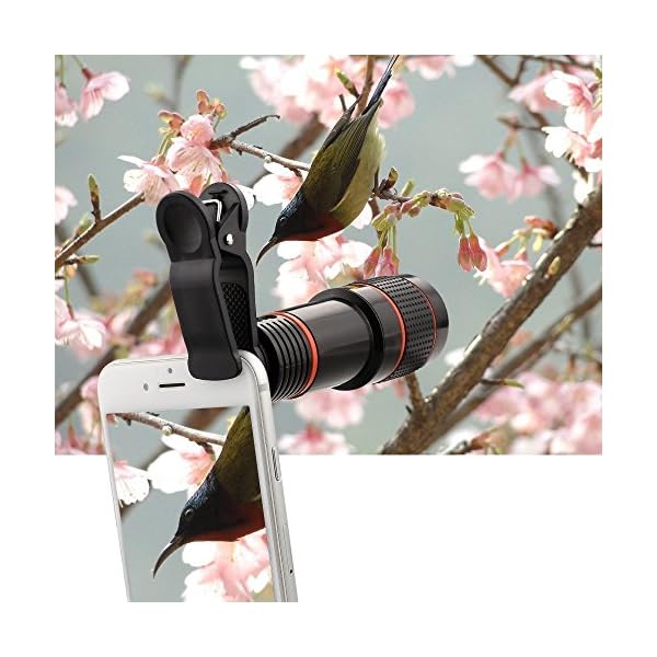 Apexel Phone Camera Lens, 2in1 Phone Camera Lens Kit 12.5X Makroobjektiv für iPhone 0.45X Weitwinkelobjektiv 140… – Bild 6
