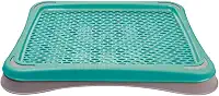 Sanitário Higiênico Para Cães Pipi Tapete Plast Pet - Azul Tiffany