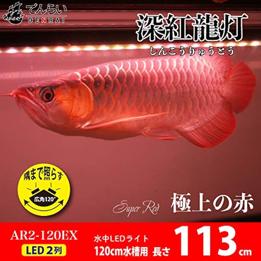 MAYIN 紅龍用テンニングライト　120㎝用 MAYIN 紅龍用テンニングライト 120㎝用 Mayin マイン馬印 112cm 2700k