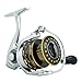 Pflueger Supreme Spinning Reel