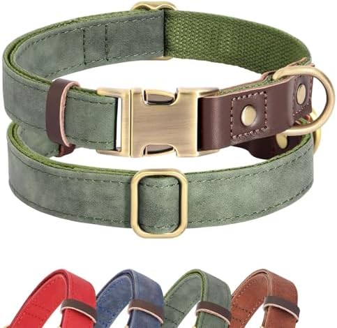 Didog Soft Padded Leather Dog Collars for Small Dogs, Classic Heavy Duty Dog Collar with Quick Release Metal Buckle, Adjustable Small Dog Collar Leather,Green,S