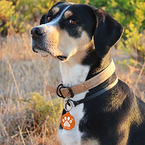 MYLUCKYTAG NFC & QR Code Smart Pet ID Tag Personalisierte Hund-Katze-Tag, Online-Haustier-Profil, Haustier Standort Alert E-Mail, Digital Pet Tag, Quiet Pet Tag, Durable Pet ID, Hundehalsband Tag