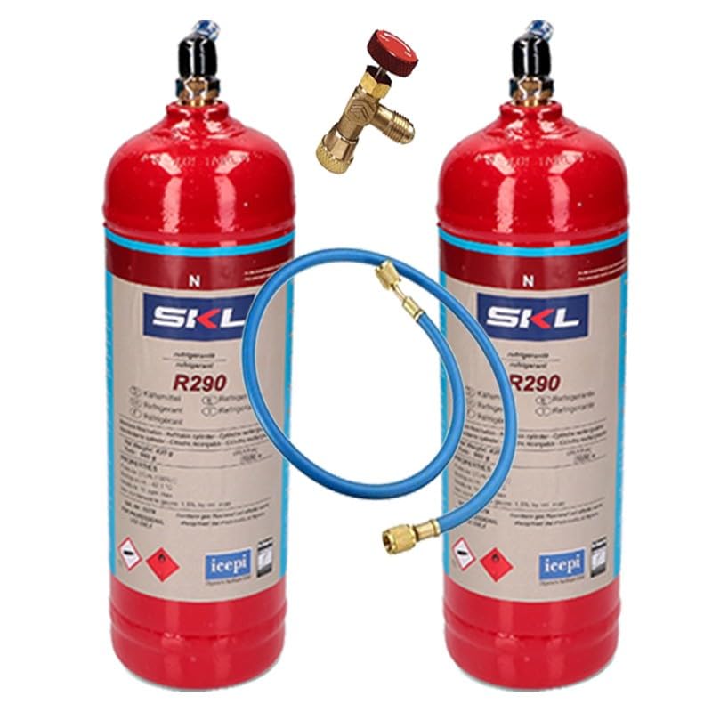 REPORSHOP - 2 bouteilles de gaz réfrigérant R290 + tuyau + vanne 370gr Propane