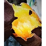 [やおやのはち] 焼き芋 冷凍 紅はるか 甘い熟成 茨城県産 熟成 さつま芋 べにはるか ホクホク 甘い しっとりうまい やきいも 茨城 国産 蜜 濃蜜 蜜芋 さつまいも 2キログラム