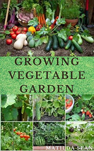 GROWING VEGETABLE GARDEN: Everything you need to start growing a vegetable garden