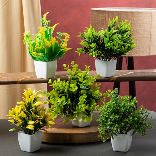 Image of JH Gallery Artificial Flowers, Small Indoor Potted Houseplants for Home Decor, Decoration Items for Living Room, Office and Bedroom, Artificial Plants with Pot (Pack of 5)