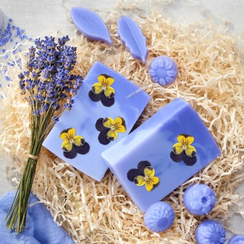 24 Flores Secas Naturales para Manualidades DIY miniatura 3