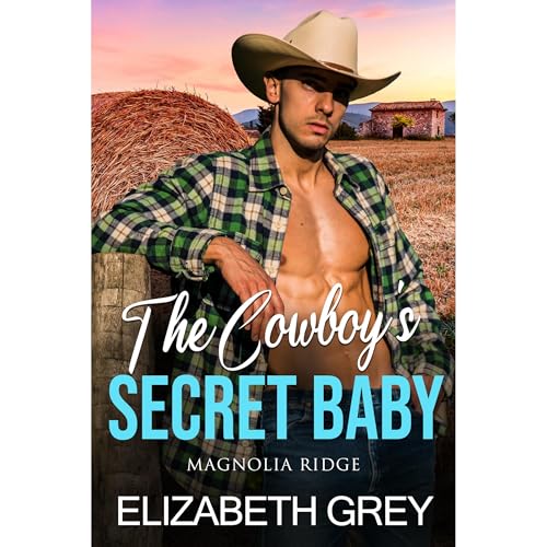The Cowboy's Secret Baby by Elizabeth Grey episode artwork