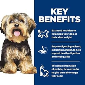 Hills Science Diet Small Mini Senior Adult 7+ Small Mini Breeds Senior Premium Nutrition Wet Dog Food Chicken Barley Loaf 58 Oz Can Case of 24 Cucciolini Doodles Hills science diet small mini senior adult 7+ small mini breeds senior premium nutrition wet dog food chicken barley loaf 5 8 oz can case of 24 cucciolini doodles