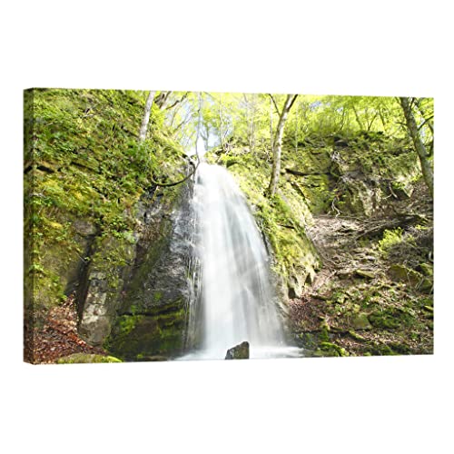 Canvas painting Nature phosphorescent DCL202-2 | Tableau lumineux 80x120 cm