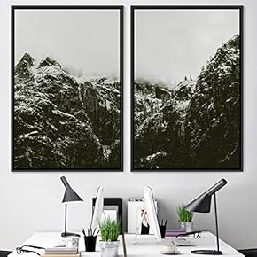 signwin 2 Piece Framed Canvas Wall Art Monochromatic...