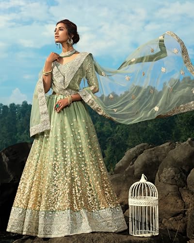 Indian Ready to wear Lehenga Choli for Women Flared Party Night with Stitched Blouse (DV-VOL4)3