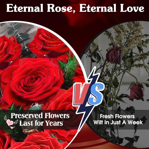 ADDWel Preserved Roses Gifts for Women, Flowers Bouquet in a Box That Lasts Years - Eternal Roses Gifts for Birthday Anniversary - Image 4