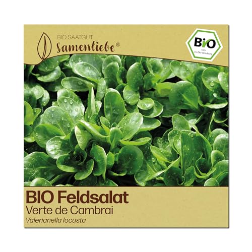 Samenliebe BIO Feldsalat Samen | Verte de Cambrai - sehr groß & winterhart - samenfestes BIO Saatgut