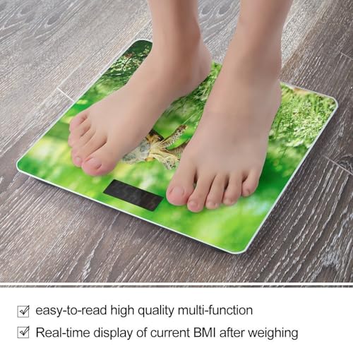 Báscula Digital de Baño Smart Scale con Cristal Templado miniatura 5