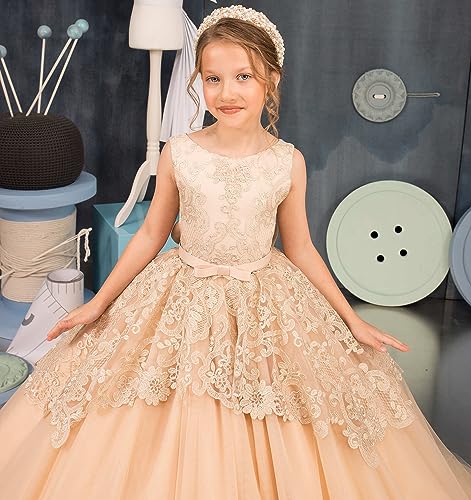 Tulle Flower Girl Dress for Wedding Lace Appliques Embroidered Princess Pageant Dresses Birthday Party Dresses4