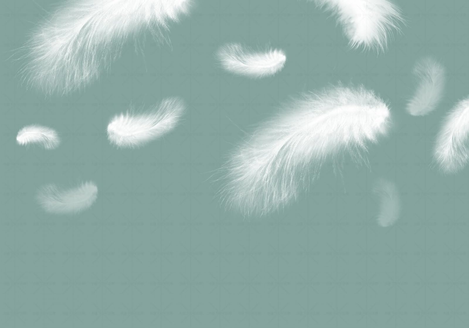 Papier peint panoramique 3D plumes pour agrandir l'espace salon et chambre