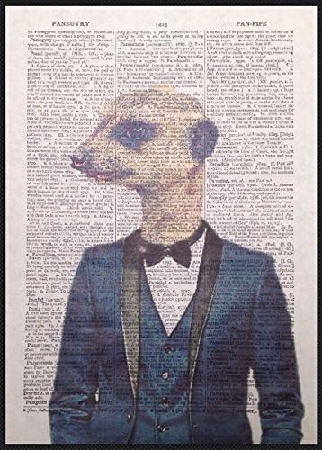 Buy Parksmoonprints A3 Size Alice In Wonderland Print Vintage Dictionary Page Wall Art Picture Quote