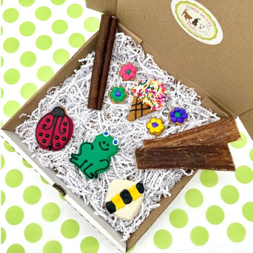 Three Mutts Market Dog Treat Gift Box | Human Grade, Handmade, and Decorated Dog Cookies | Gifts for Medium & Large Dogs | No Artificial Preservatives | Made in The USA (Sunny Days)