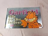 Garfield: Life to the Fullest: His 34th Book
