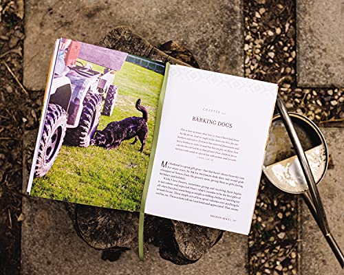 Fields of Grace: Sharing Faith from the Horse Farm - Image 8