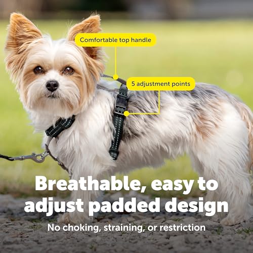 Image of PetSafe 3in1 Harness, Extra Small, Black