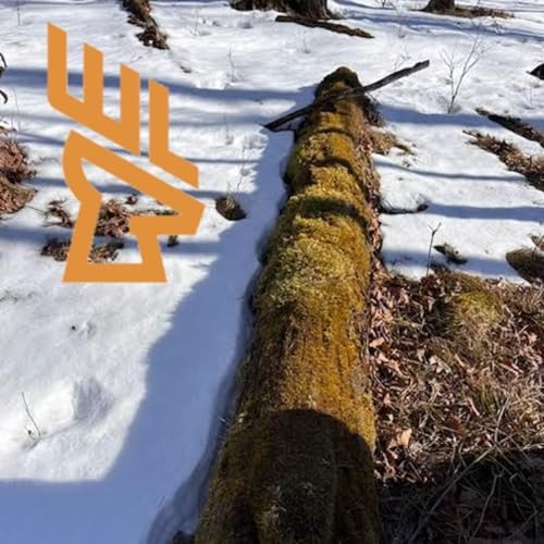 EP223 Fertilizing our Forests, Pond Building, Mushroom Plots, Usable Space for Deer