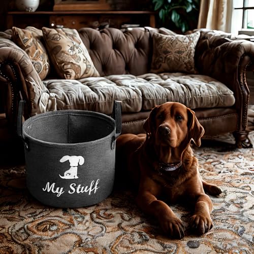 TSQZE Haustier Spielzeug Organizer Box, Katzenspielzeug Boxen Mit Griffen, Welpen Sachen Korb Filz Aufbewahrungsbox, Organizer Für Die Organisation Von Haustierspielzeug, Decken, Leinen (Hunde)