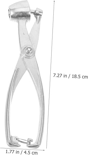 Miniatura 5 de BESPORTBLE Descorazonador de núcleo de oliva, removedor de núcleo de cereza, removedor de cereza, herramienta de eliminación de núcleos de cereza,