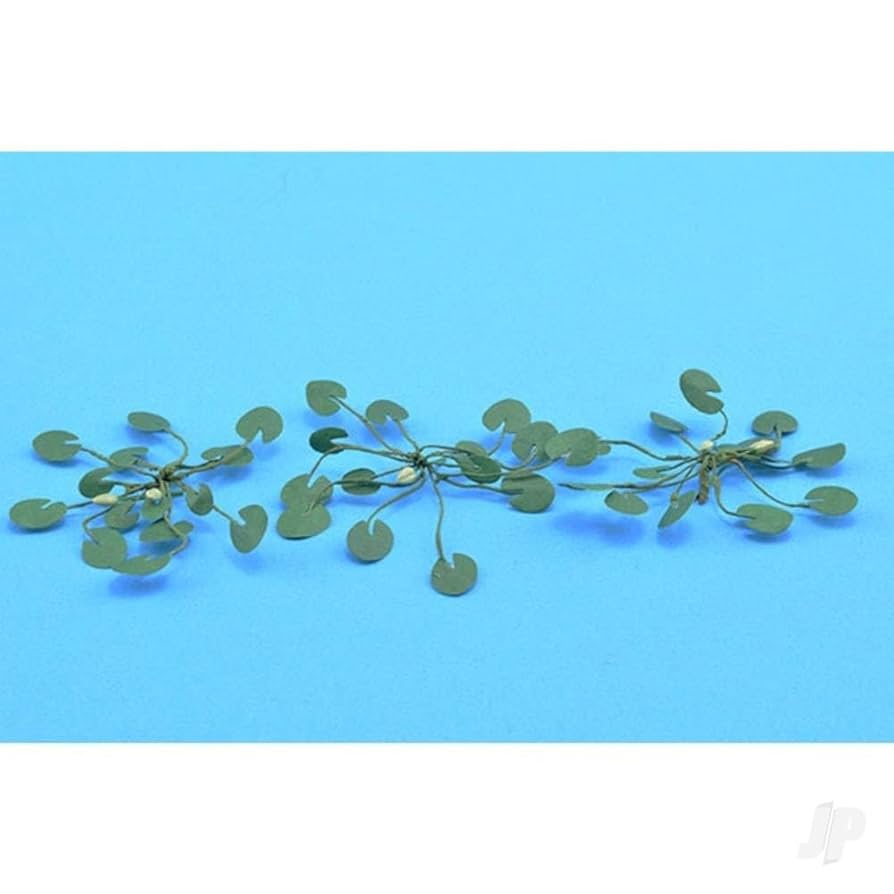 自然の風景 ハスの葉 46846776-large-leaf-of-the-