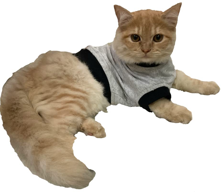 Cat Cotton Tee Shirts and Sweat Shirt Dog Puppy T Shirts Interlocked & overlocked. (B0BGKJZLNH) Amazon Price History, Amazon Price Tracker