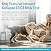 AffinityDNA Dog Exercise Induced Collapse (EIC) DNA Test | Home Sample Collection Kit for 1 Canine | EIC Testing for Your Puppy | Results in 7 Working Days | A Complete Kit with No Extra Fees