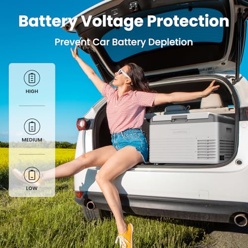 Image of ALIPICOOL Electric Cooler 12 Volt Portable Refrigerator for Car, 29 Quart Car Fridge, Single Zone Car Freezer Cooler 12 /24V DC, 110~240V AC for Camping,Overlanding, RV, Truck, -4℉ to 68℉ (CL30)